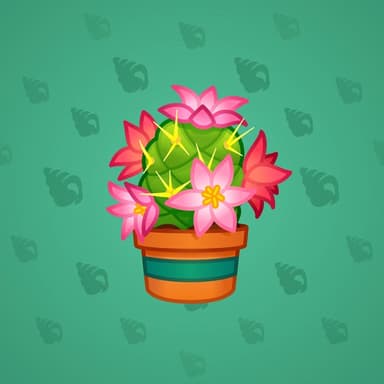 Cactus