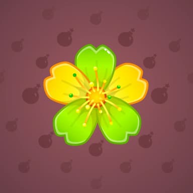 Oxalis