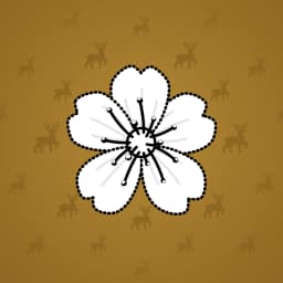 Anemone