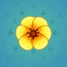 Yellow Poppy