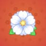 White Peony