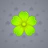 Hellebore