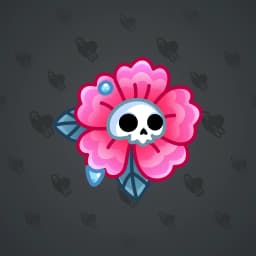 Carnation
