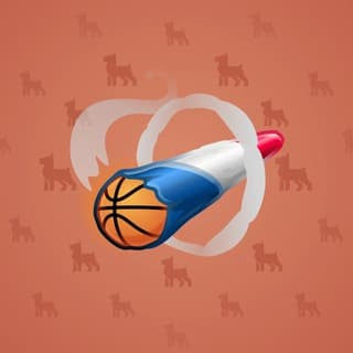 Funk Dunk