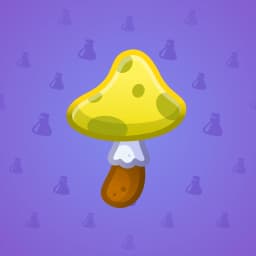 Square Cap