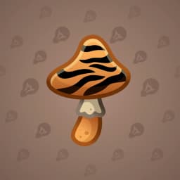 Tiger’s Eye