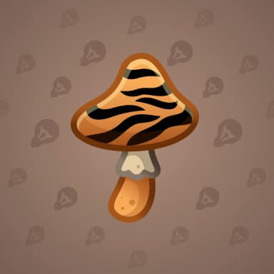 Tiger’s Eye