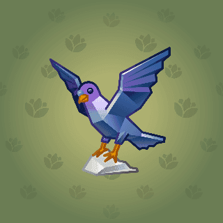 Pigeon