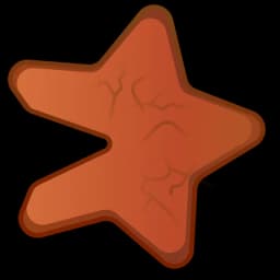 Oatmeal Star