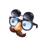 Disguise