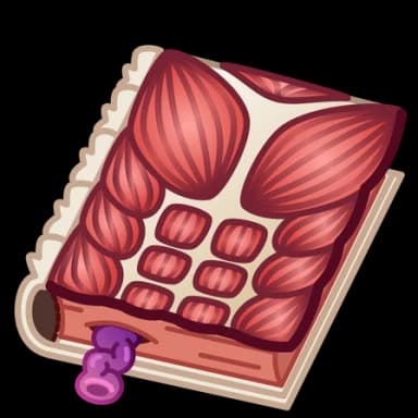 Anatomy — Timeless Book Telegram gift model