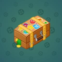 Luggage
