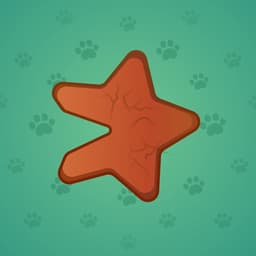 Oatmeal Star