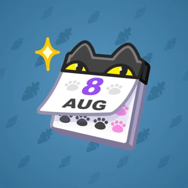 Gato Ocho