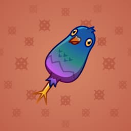 Pigeon