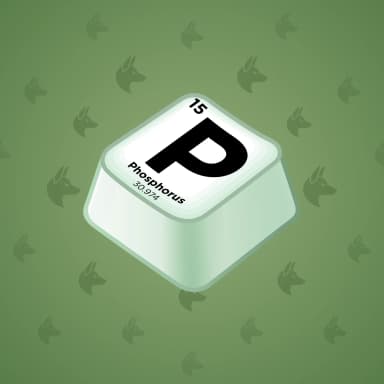 Phosphorus