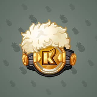 Champion Belt