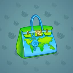 Travel Bag