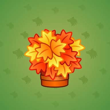 Maple Leaves
