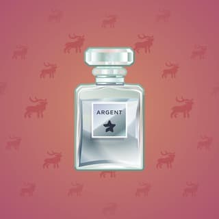 Silver Essence