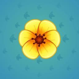 Yellow Poppy