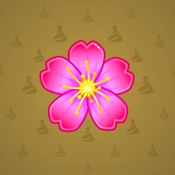 Aster