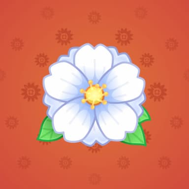 White Peony
