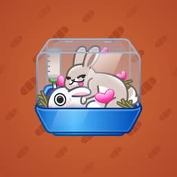 Rabbit Habit