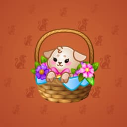 Lovely Lamb