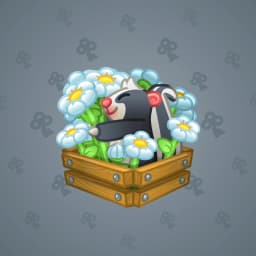 Daisy Skunk