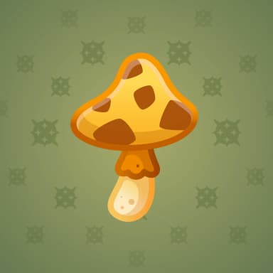 Safari