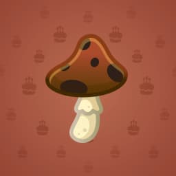 Truffle Trip