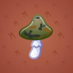 Camo