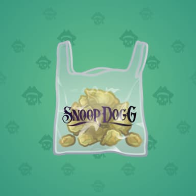 Baggy Bag