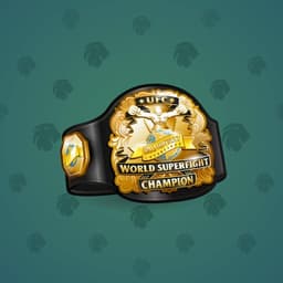 UFC World
